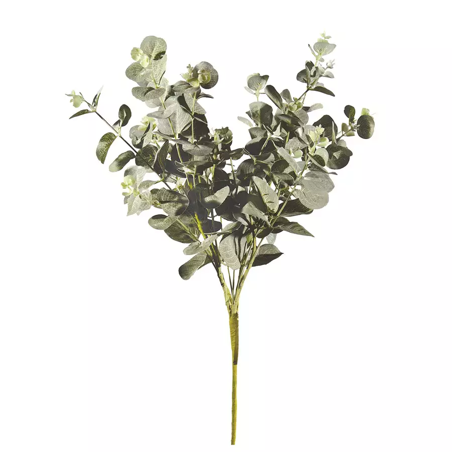 Spray Eucalyptus Stem