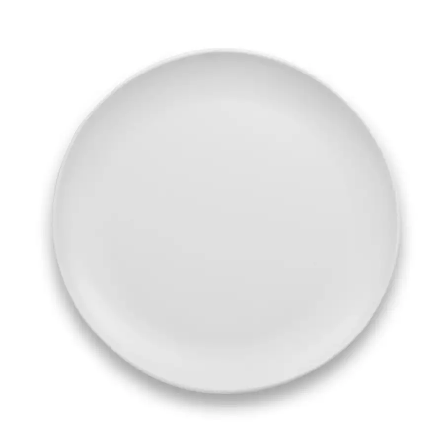 Matte Craft Coupe Dinner Plate