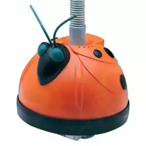 Aqua Bug