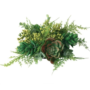 Succulent Orb