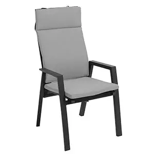 Reclining Dining Chair