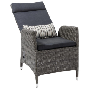 Reclining Dining Chair
