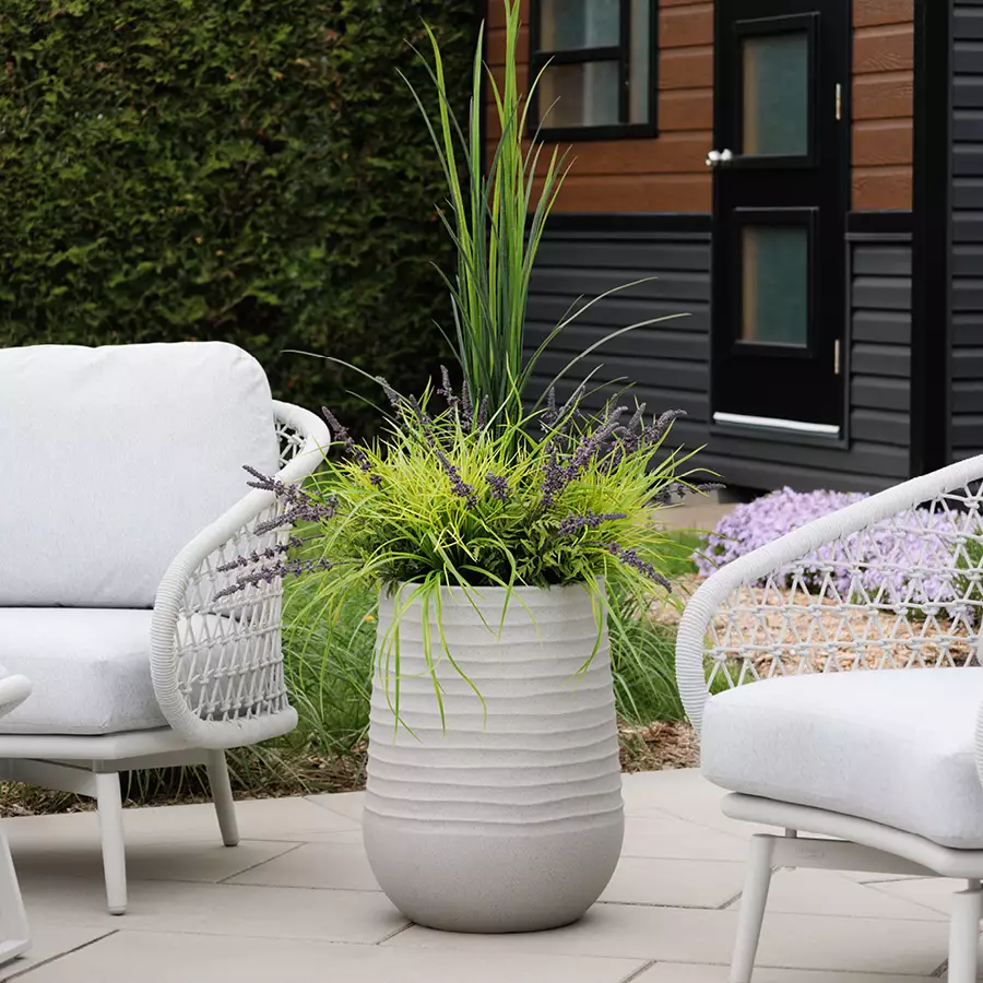 Lavender And Grass With Grey Terrazzo Beige Pot, 55