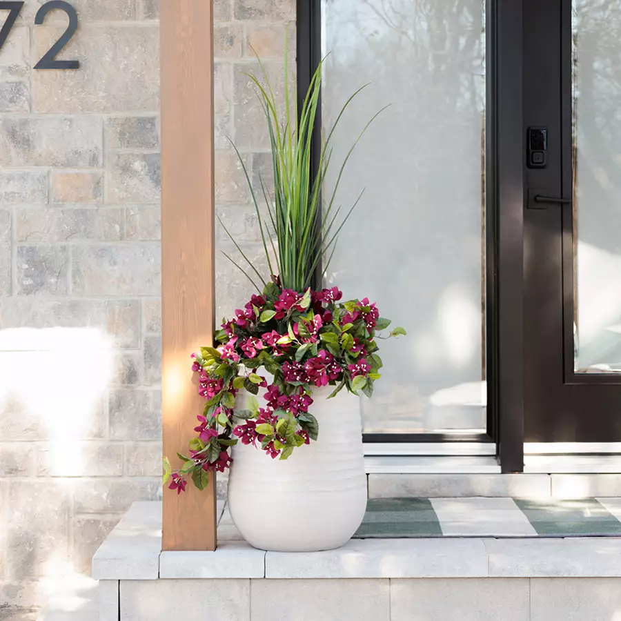 Purple Bougainvillea With Grey Terrazzo Beige Pot, 55”
