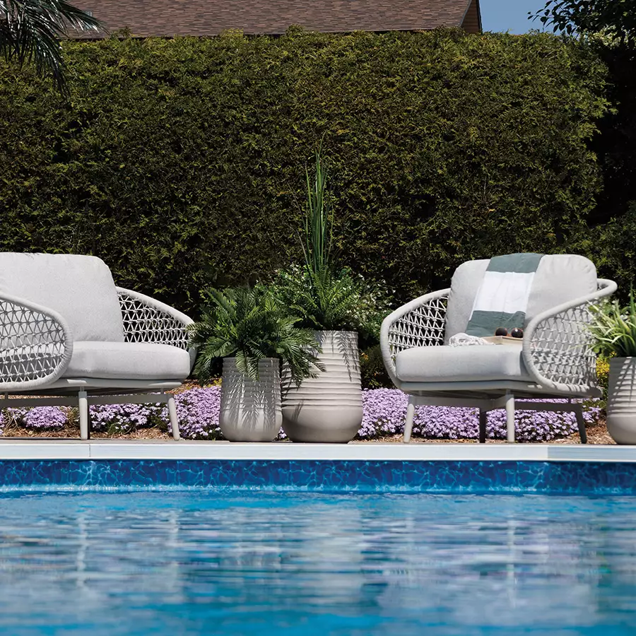 Potted Fiscus Topiary Grey Recycled Pot, 28