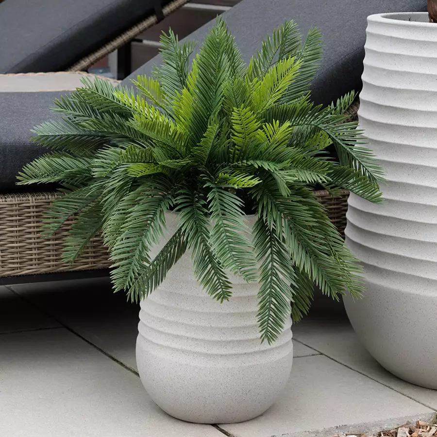 Cycas Arrangement With Grey Terrazzo Beige Pot, 26