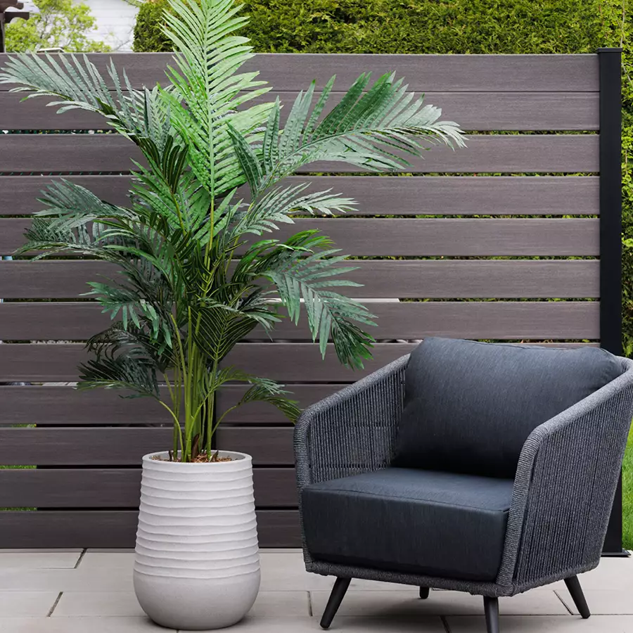 Potted Areca Palm Tree, 72