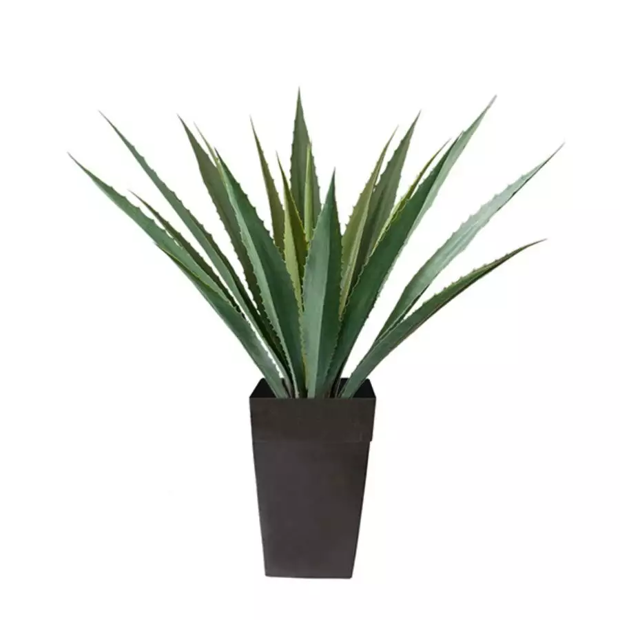 Outdoor Artificial Americana Agave Planter - 53" x 38?
