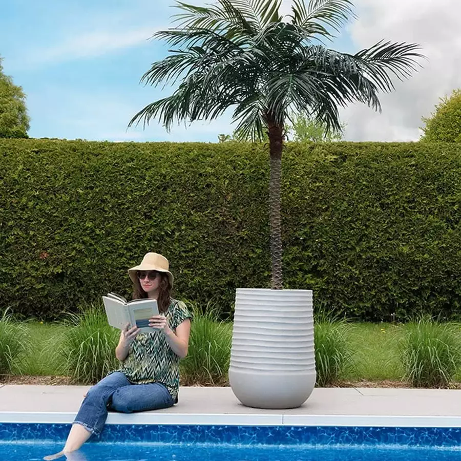 Phoenix Palm With Grey Terrazzo Beige Pot, 96