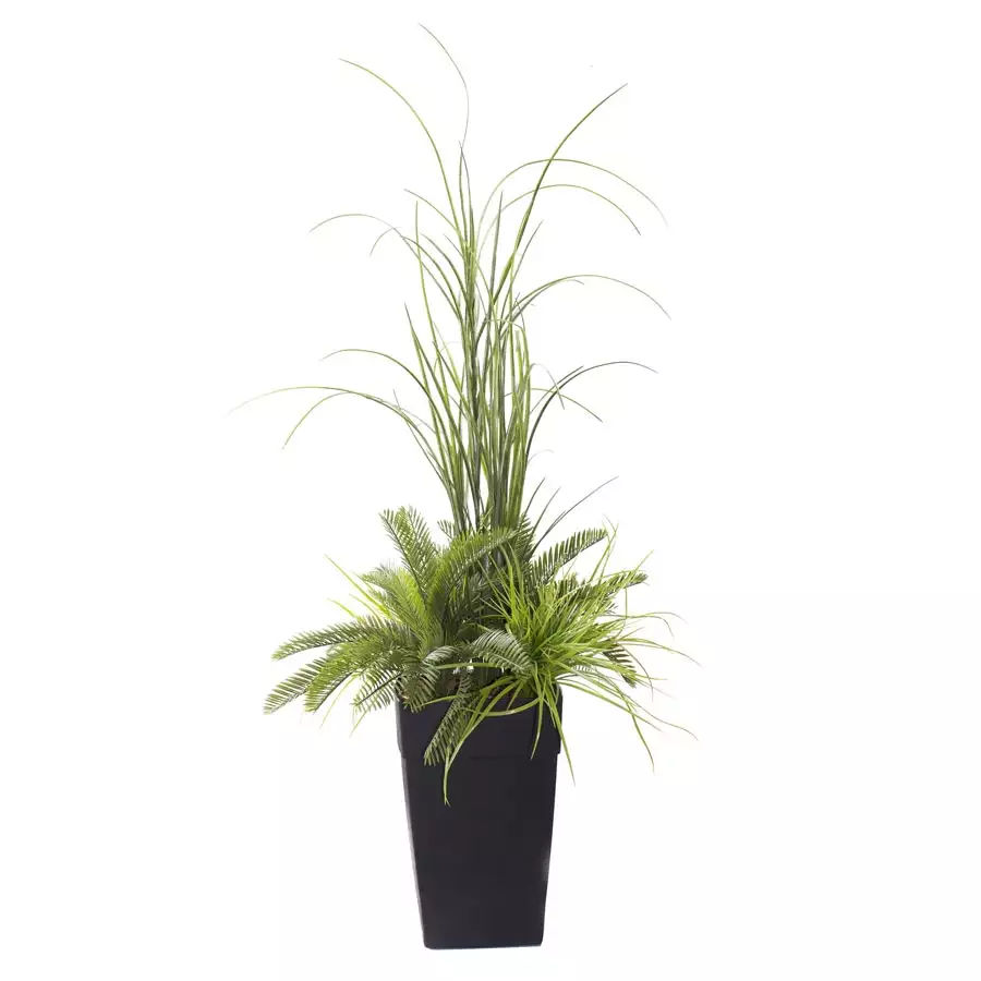 48" Assorted Fern Planter Potted