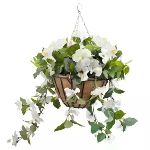 Hanging Basket White Hibiscus Flowers