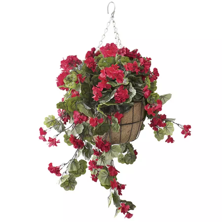 Red Geranium Hanging Basket With Burlap Basket, 24" x 22"