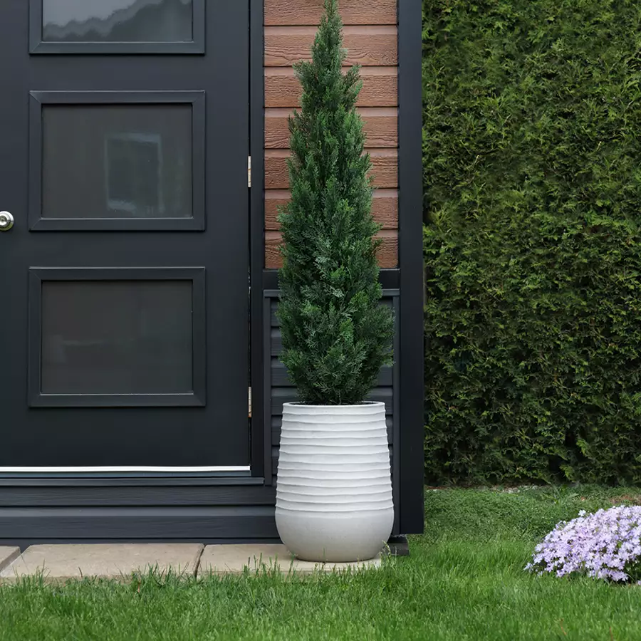Potted Outdoor Cedar With Grey Terrazzo Beige Pot, 68”