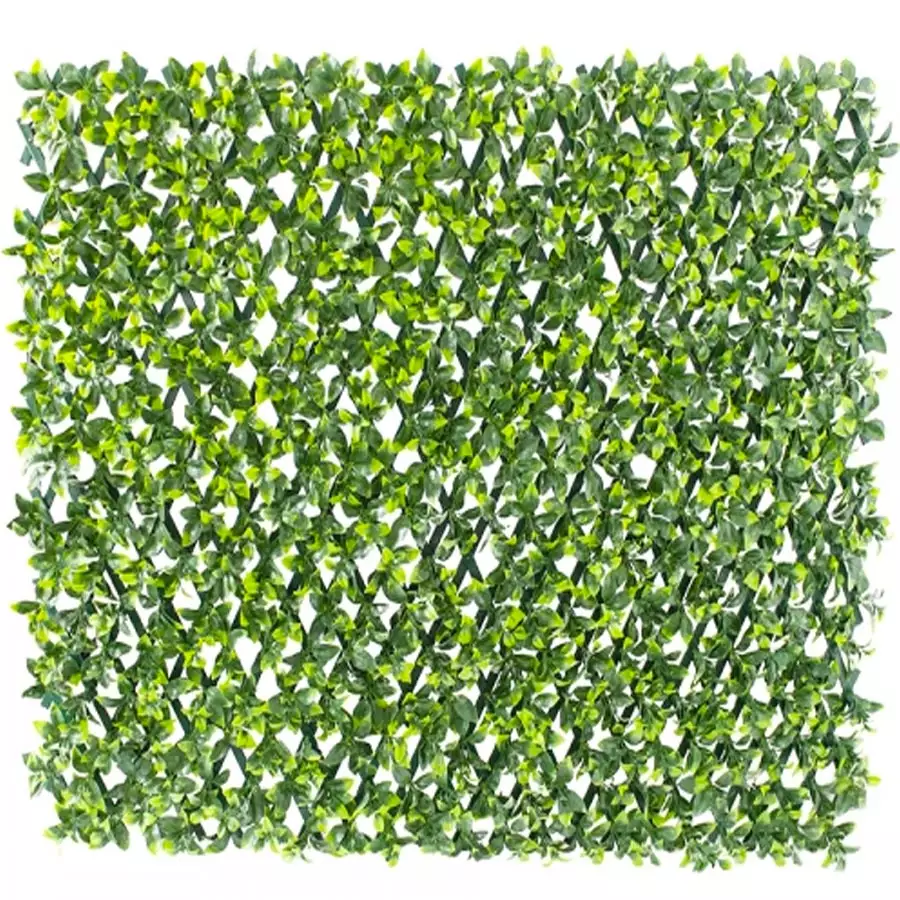 Privacy Screen Lattice Green