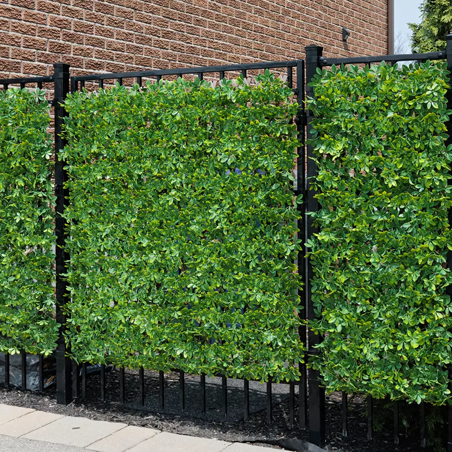 Privacy Trellis, 39