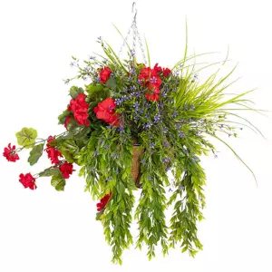 Hanging Basket Red Geraniums With Purple Flowers & Foliage