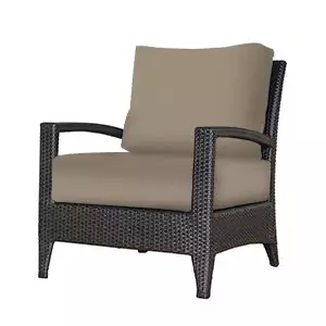 Club Chair with Cushion