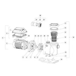 Pentair - Pump Parts - SuperFlo VS/VST Variable Speed Pump (After October 2020)