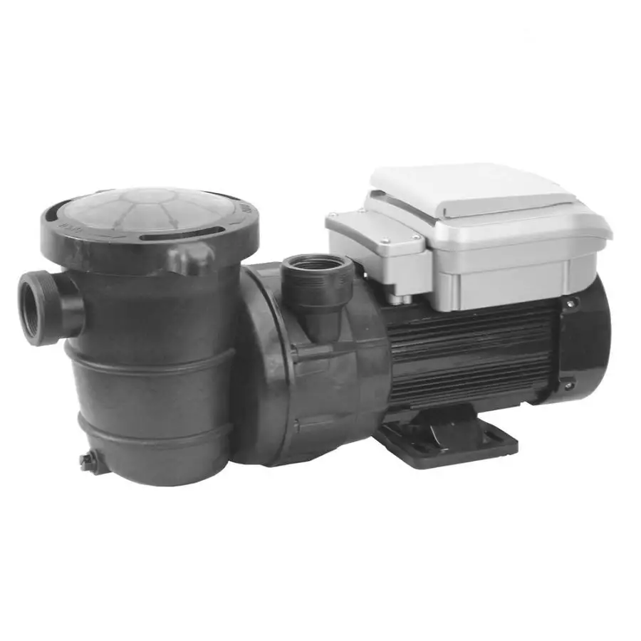Northflo Above Ground 1.5-HP Variable Speed Pump 