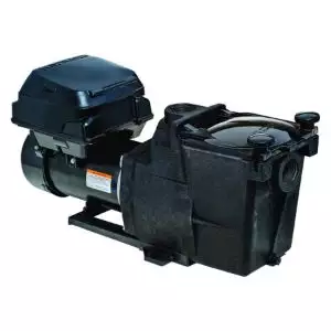 Hayward Super Pump VS 115V
