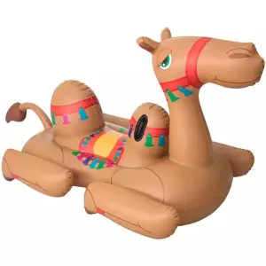 Camel Pool Float