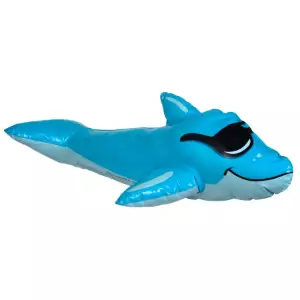 SwimPals Derby Dolphin
