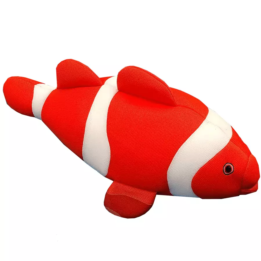 Nemo sale pool toy