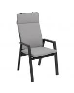 Reclining Dining Chair