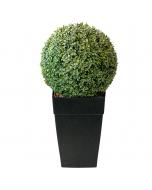 32" Round Boxwood Planter