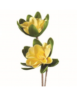 Spray Yellow Lotus Flower Stem