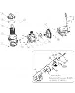 Pentair - Pump Parts - Dynamo Pump