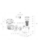 Pentair - Pump Parts - SuperFlo VS/VST Variable Speed Pump (Before November 2020)