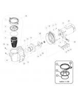 Pentair - Pump Parts - WhisperFlo Pump