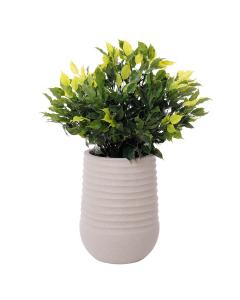 Potted Fiscus Topiary Grey Recycled Pot, 28"