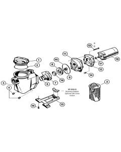 Hayward - Pump Parts - E-Z Flo