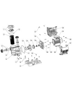 Hayward - Pump Parts - PowerFlo II