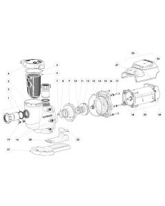 Hayward - Pump Parts - Tristar VS 950