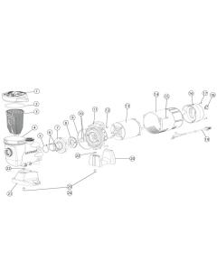 Hayward - Pump Parts - Turbo Flo II