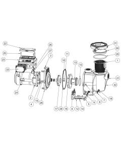 Pentair - Pump Parts - Intelliflo VF Pump (Discontinued)