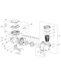 Pentair - Pump Parts - Intelliflo VS + SVRS Pump (After June 2016)