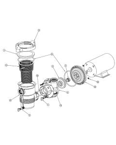 Pentair - Pump Parts - OptiFlo Pump