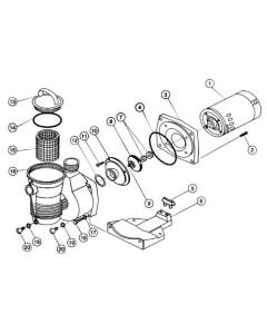 Pentair - Pump Parts - Pinnacle High Flow Pump