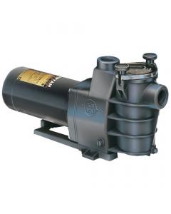 Hayward MaxFlo Pump