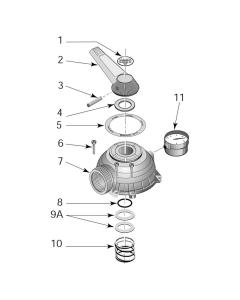 Sta-Rite - Valve Parts - Multiport 1-1/2" Valve