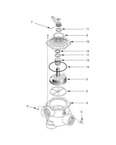 Sta-Rite - Valve Parts - Multiport Side Mount 1-1/2" Valves