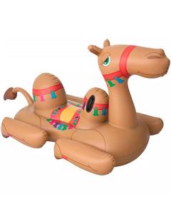 Camel Pool Float