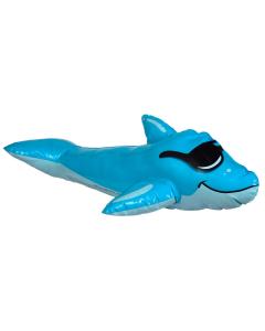 SwimPals Derby Dolphin