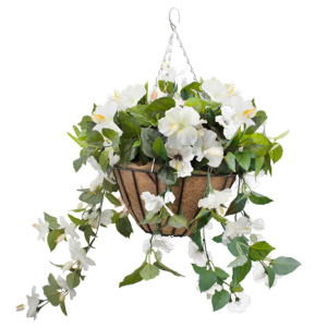 Hanging Basket White Hibiscus Flowers