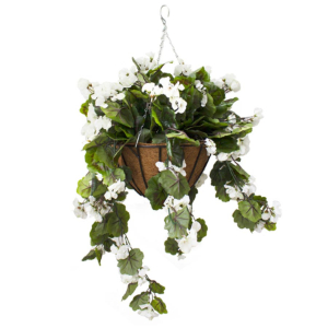 Hanging Basket White Geraniums