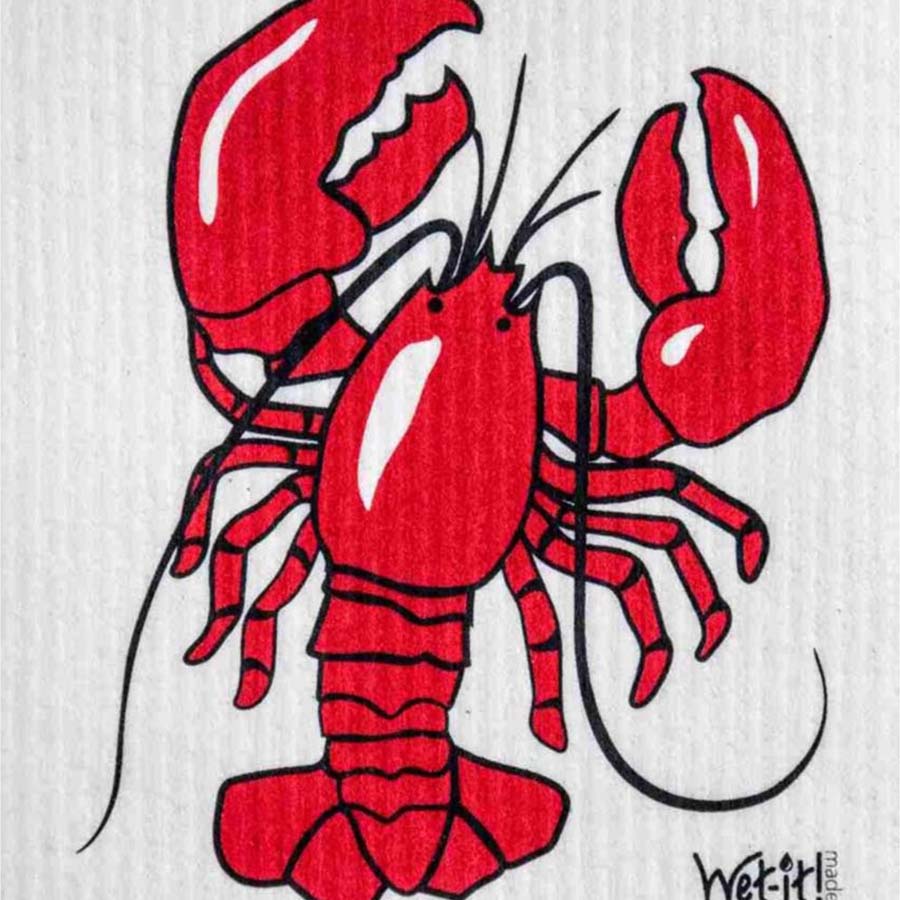 Patterns and Designs Wet-it Cloths